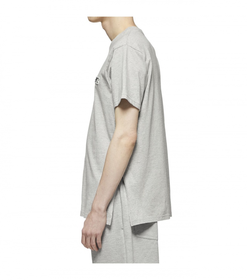 Grey Onitsuka Tiger T Shirts | 07541-YRVC