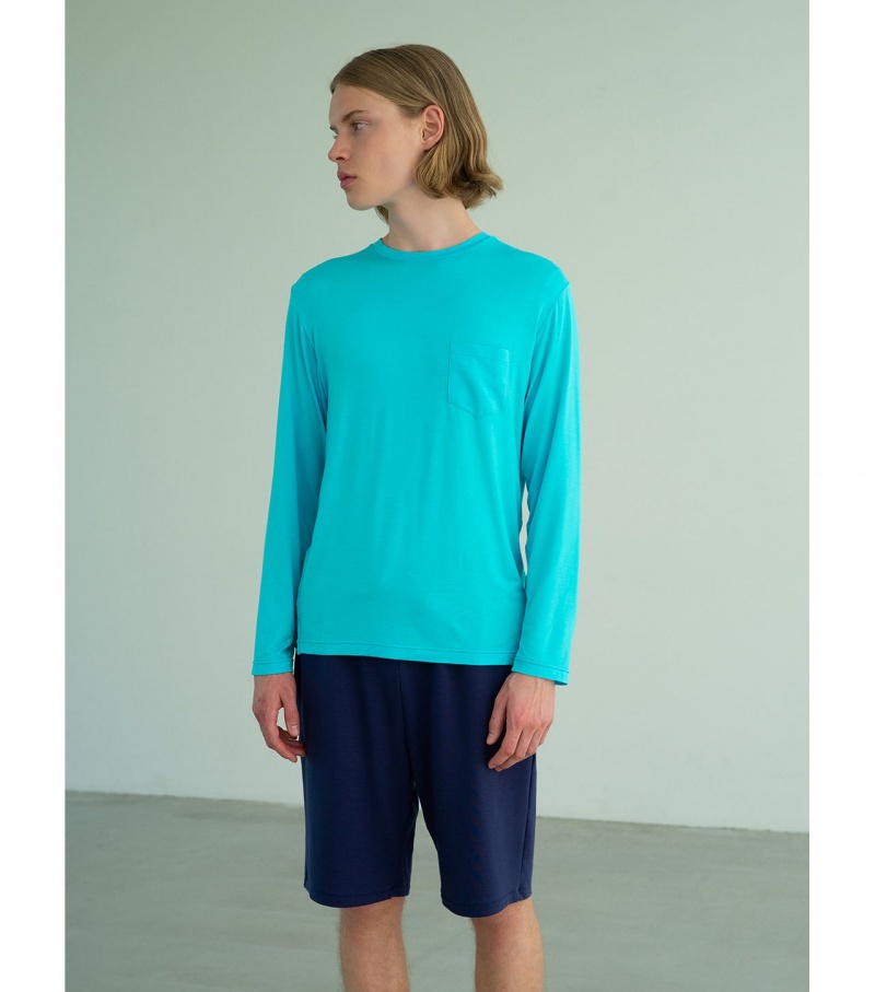 Light Blue Onitsuka Tiger Sweatshirts | 93514-WXHE